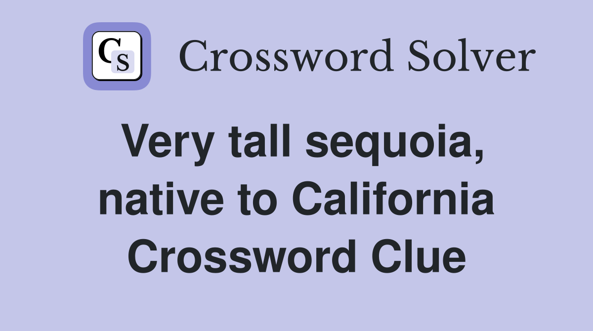 Very tall sequoia, native to California Crossword Clue