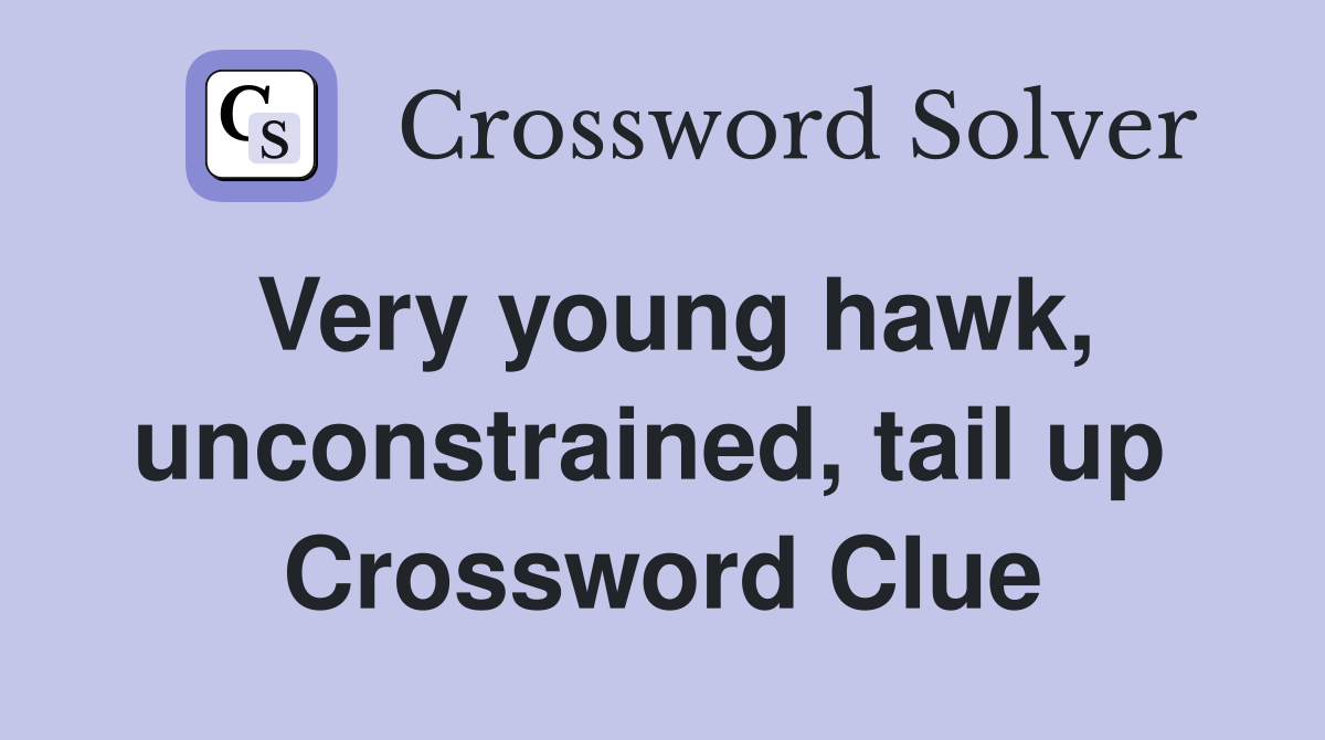 Very young hawk, unconstrained, tail up  Crossword Clue