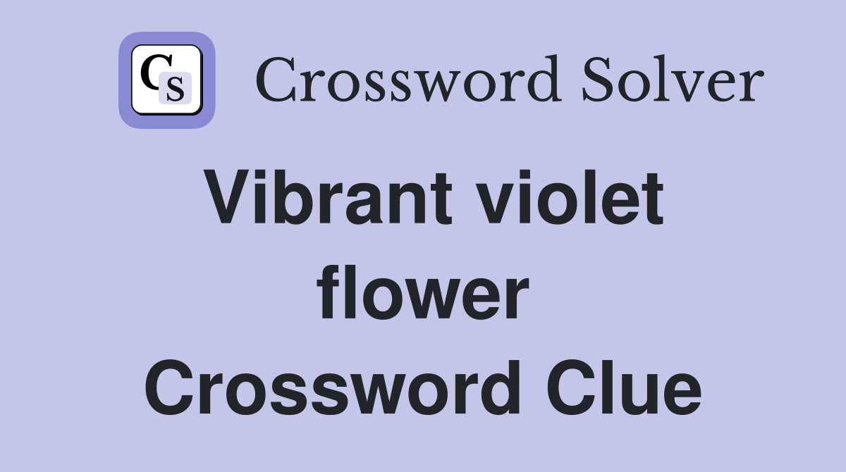 Vibrant violet flower Crossword Clue