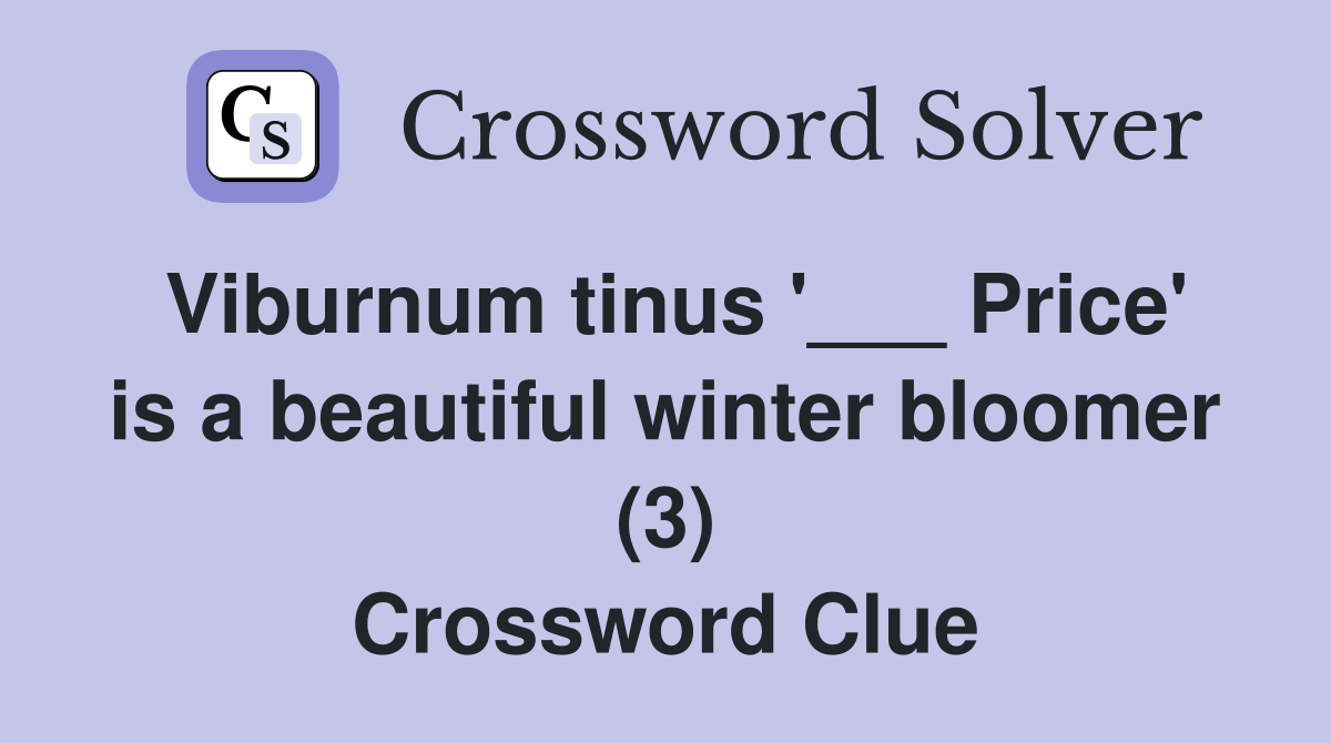 Viburnum tinus '___ Price' is a beautiful winter bloomer (3) Crossword Clue