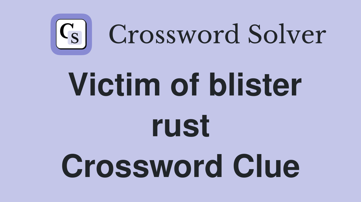 Victim of blister rust Crossword Clue