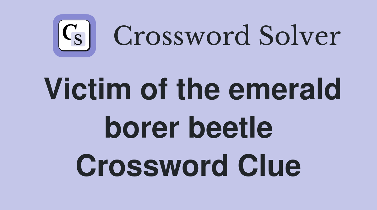 Victim of the emerald borer beetle Crossword Clue