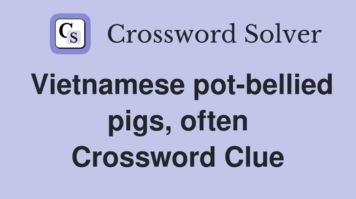 Vietnamese pot-bellied pigs, often Crossword Clue