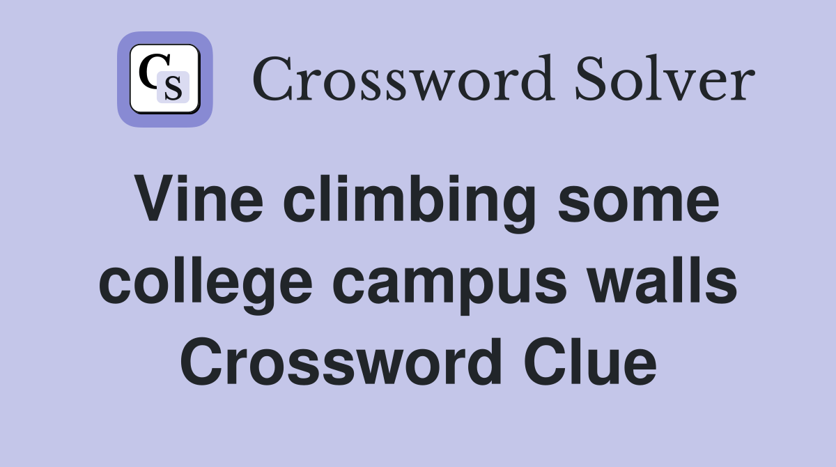 Vine climbing some college campus walls Crossword Clue
