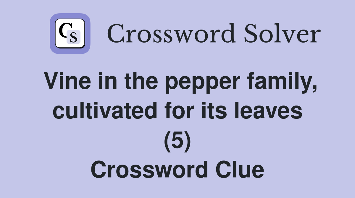 Vine in the pepper family, cultivated for its leaves (5) Crossword Clue