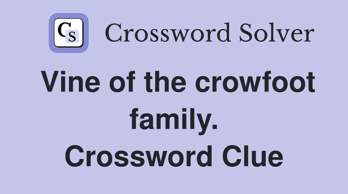 Vine of the crowfoot family. Crossword Clue