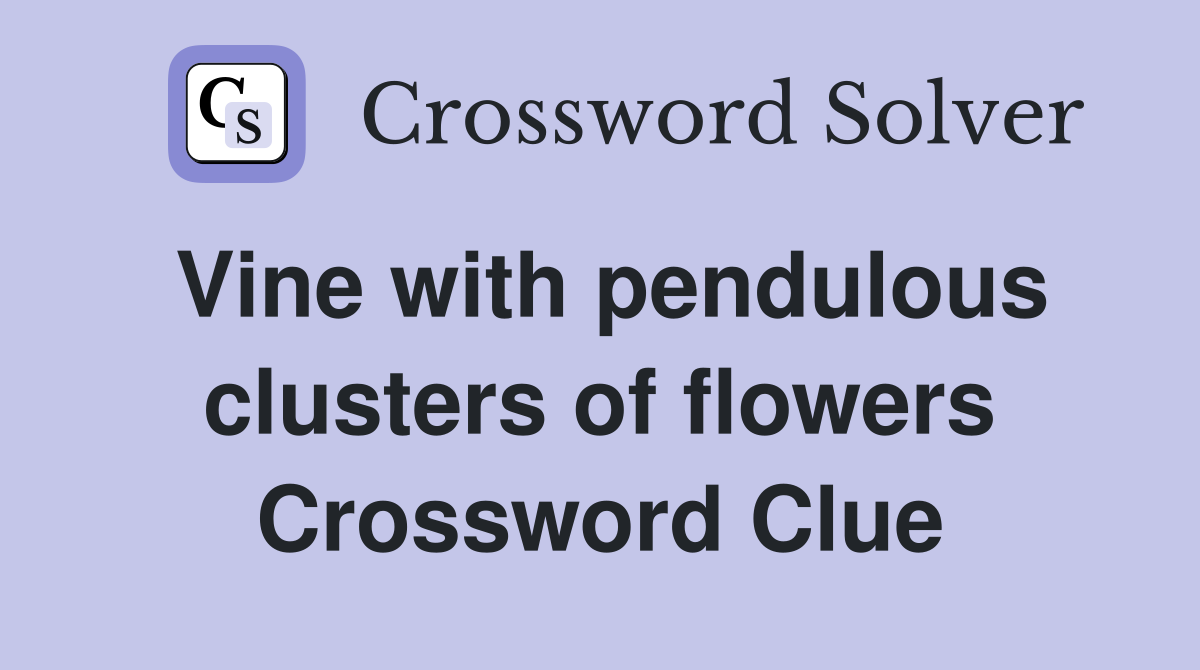 Vine with pendulous clusters of flowers Crossword Clue