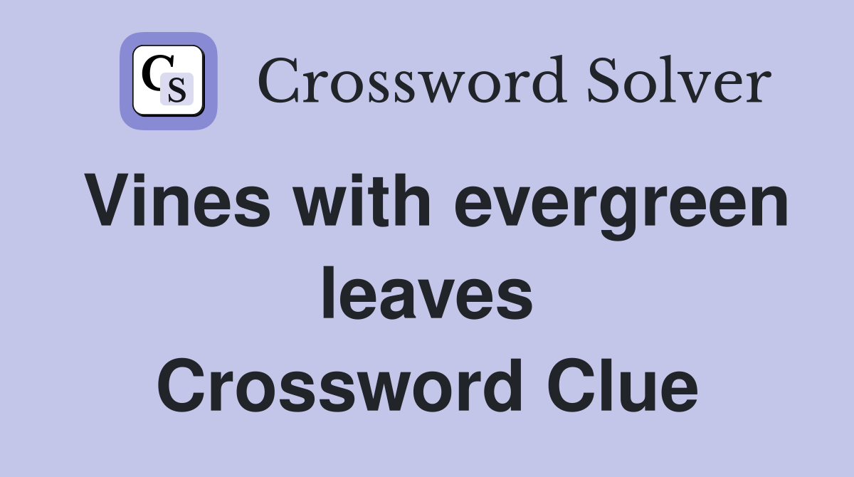 Vines with evergreen leaves Crossword Clue