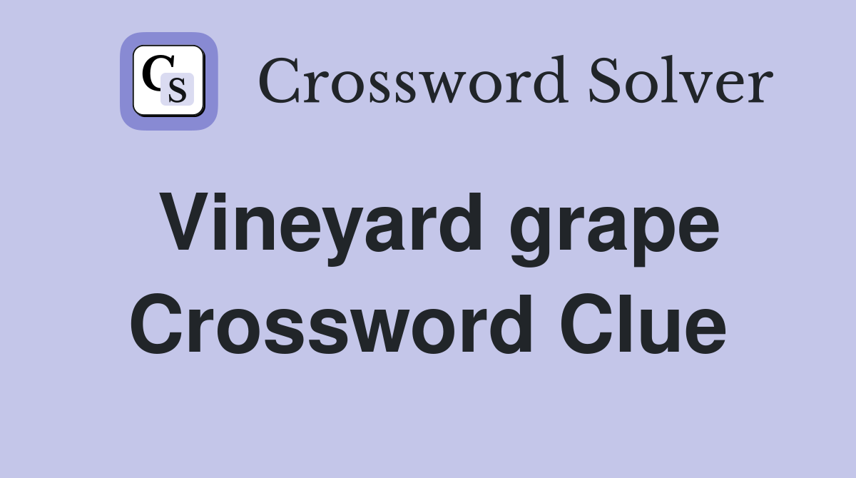 Vineyard grape Crossword Clue