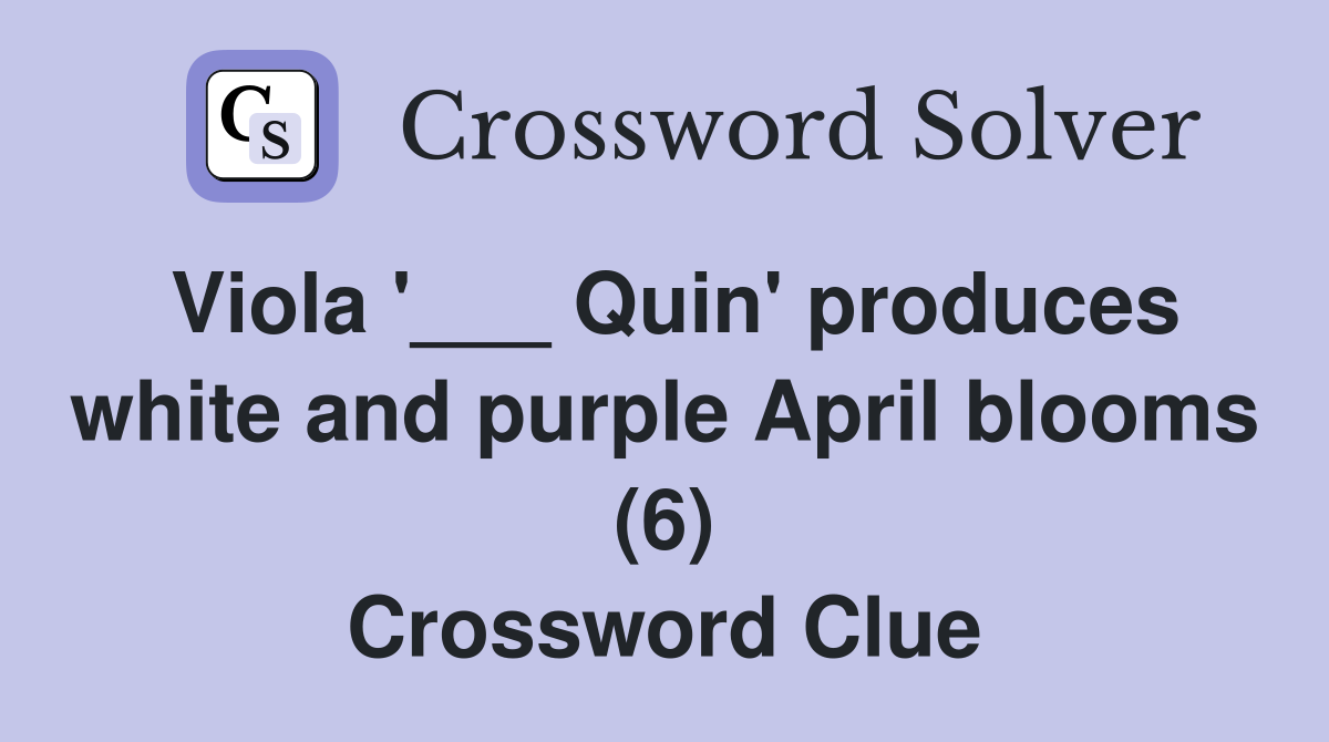 Viola '___ Quin' produces white and purple April blooms (6) Crossword Clue