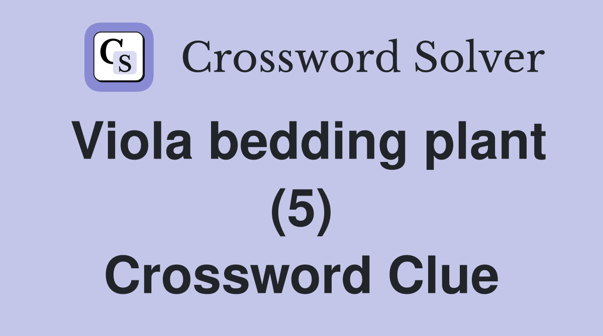 Viola bedding plant (5) Crossword Clue