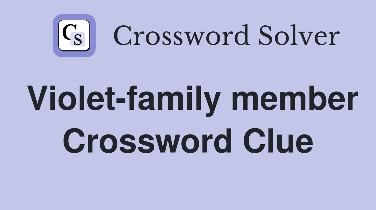 Violet-family member Crossword Clue