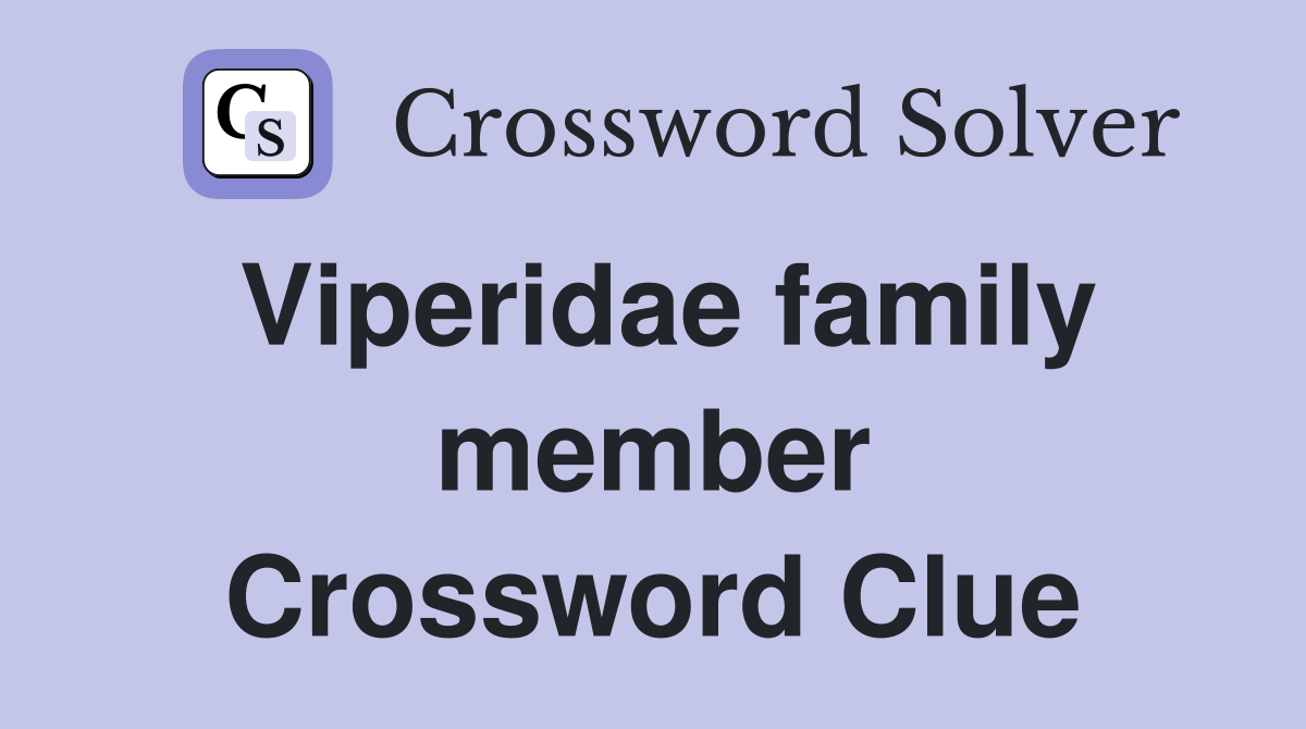 Viperidae family member Crossword Clue
