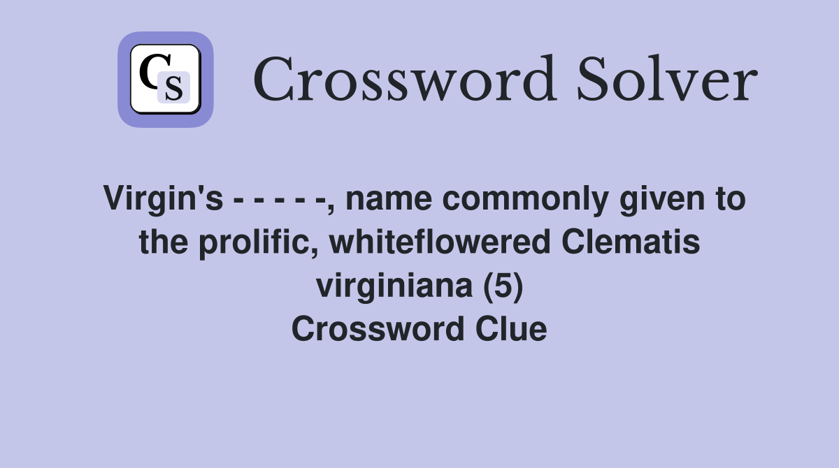 Virgin's - - - - -, name commonly given to the prolific, whiteflowered Clematis virginiana (5) Crossword Clue