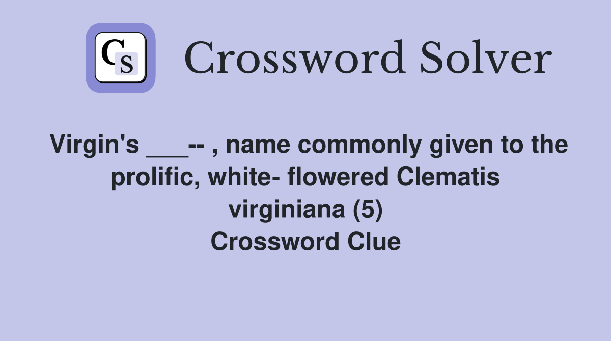 Virgin's ___-- , name commonly given to the prolific, white- flowered Clematis virginiana (5) Crossword Clue
