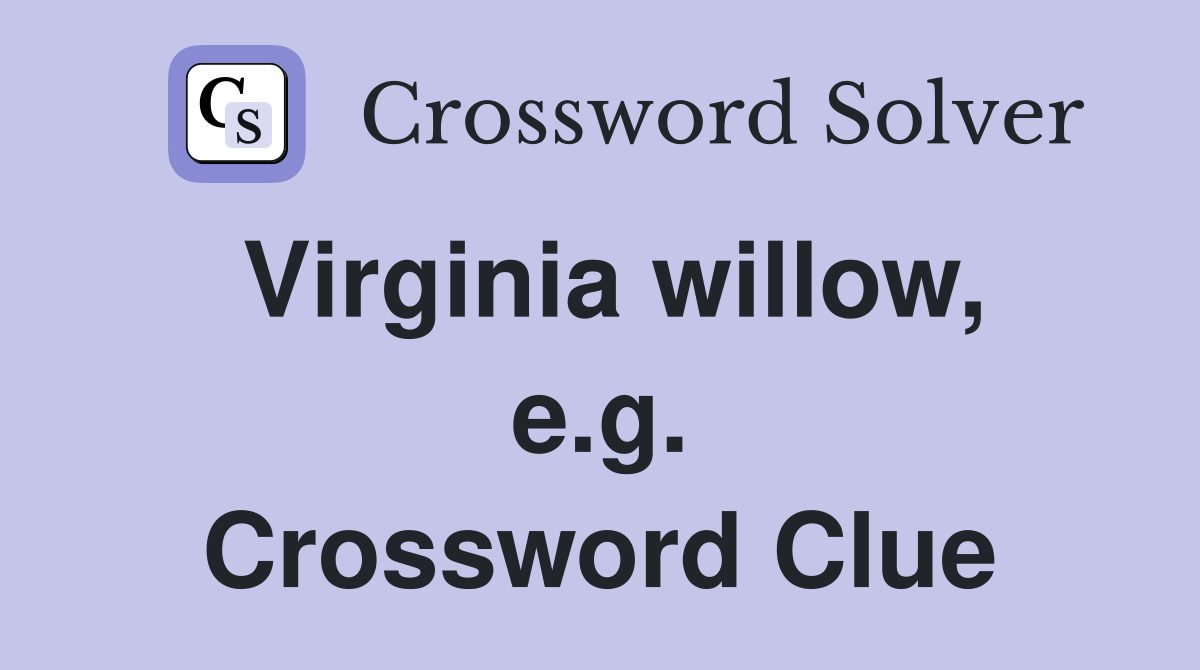 Virginia willow, e.g. Crossword Clue
