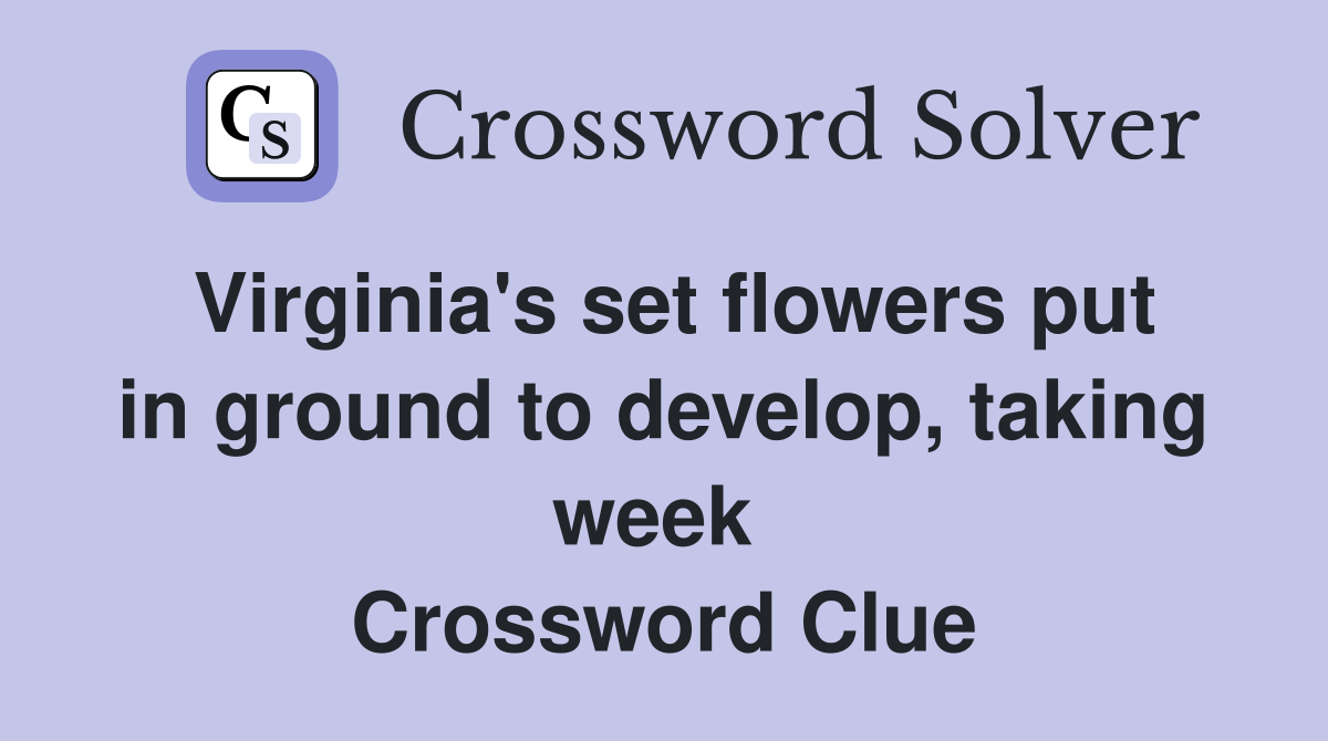 Virginia's set flowers put in ground to develop, taking week  Crossword Clue
