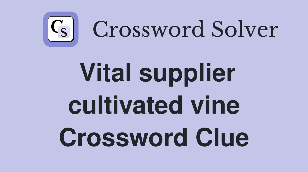 Vital supplier cultivated vine Crossword Clue