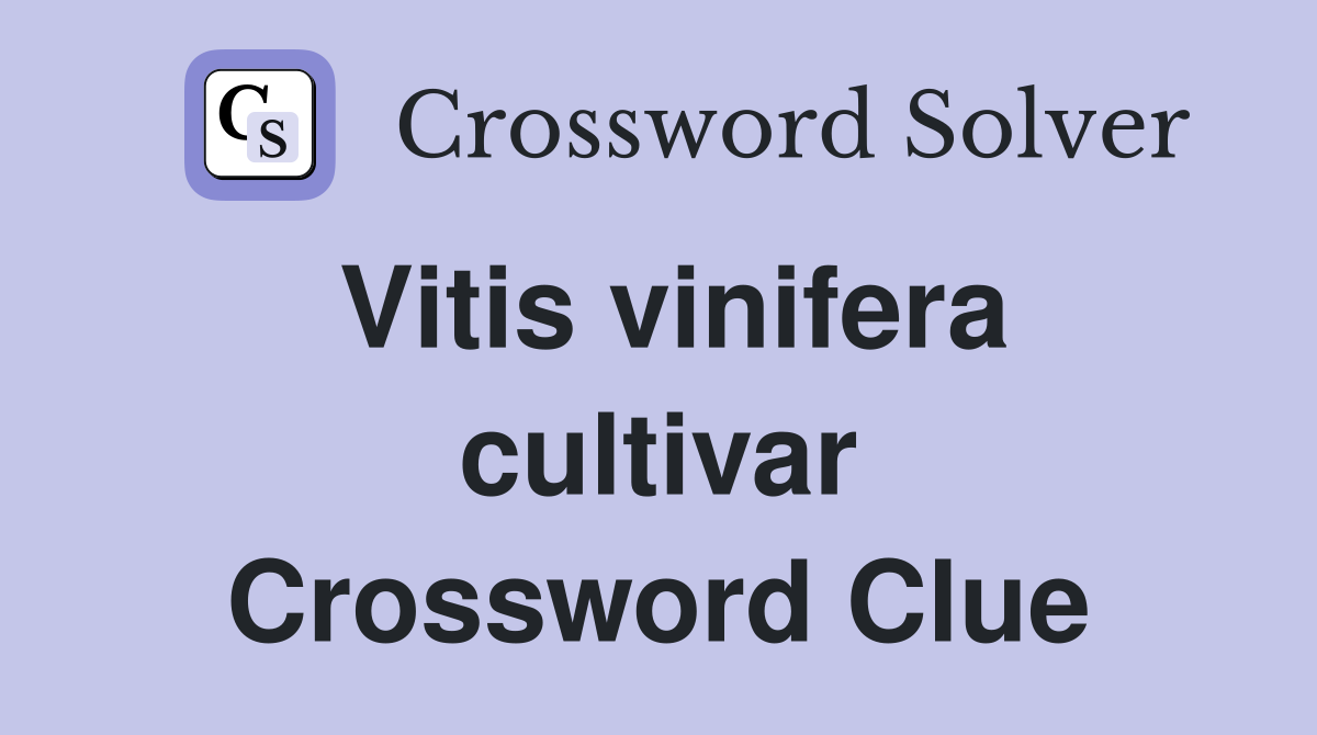 Vitis vinifera cultivar Crossword Clue
