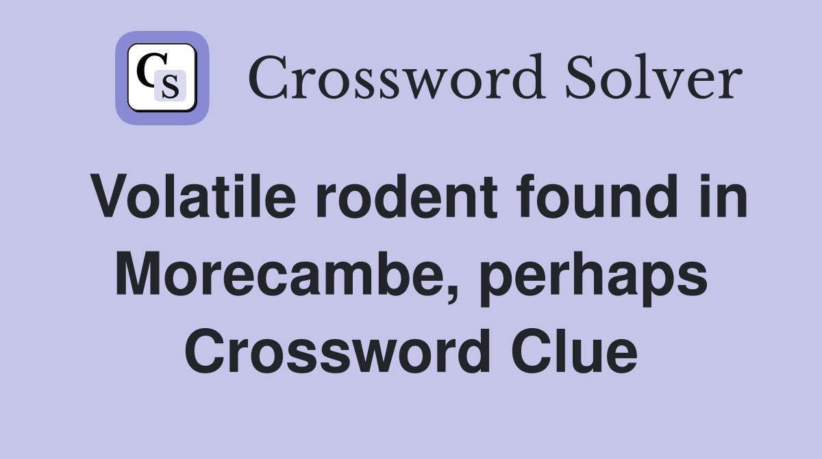 Volatile rodent found in Morecambe, perhaps Crossword Clue