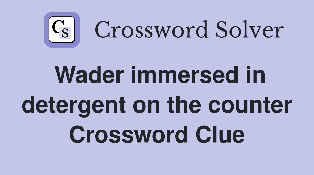 Wader immersed in detergent on the counter Crossword Clue