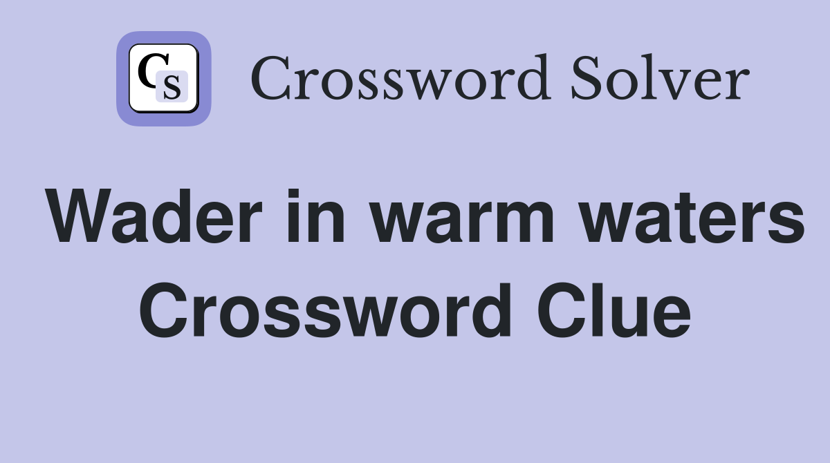 Wader in warm waters Crossword Clue