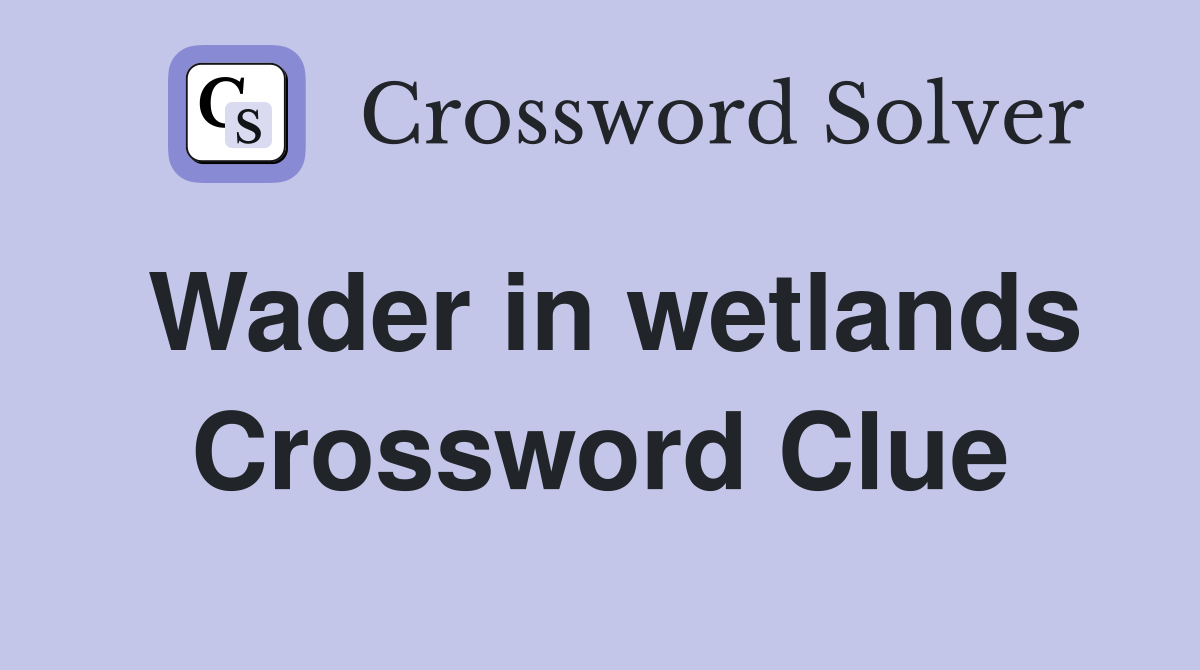 Wader in wetlands Crossword Clue