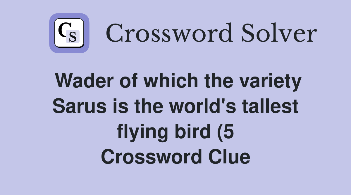 Wader of which the variety Sarus is the world #39 s tallest flying bird (5 Wader of which the variety Sarus is the world #39 s tallest flying bird (5