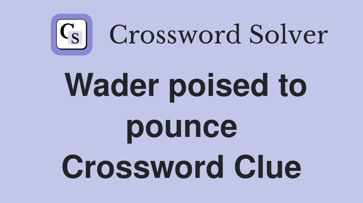 Wader poised to pounce Crossword Clue