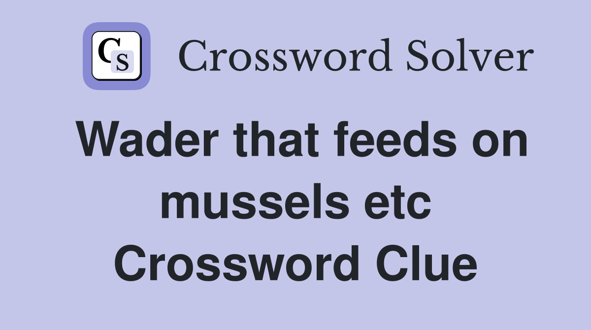 Wader that feeds on mussels etc Crossword Clue