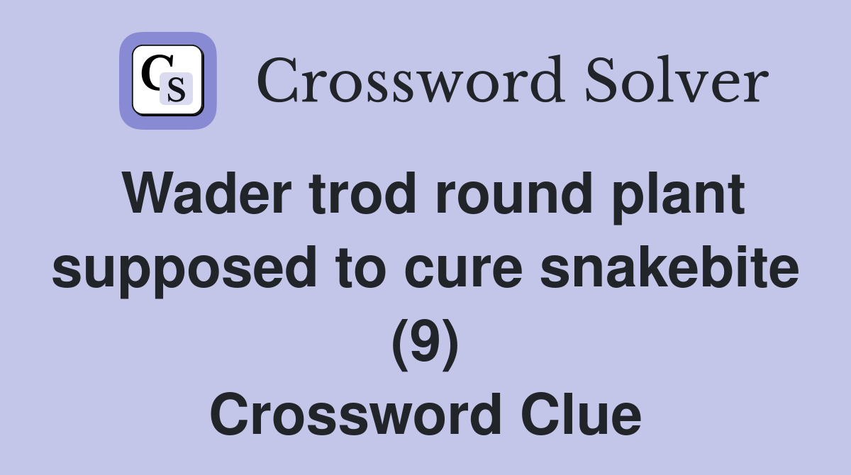 Wader trod round plant supposed to cure snakebite (9) Crossword Clue