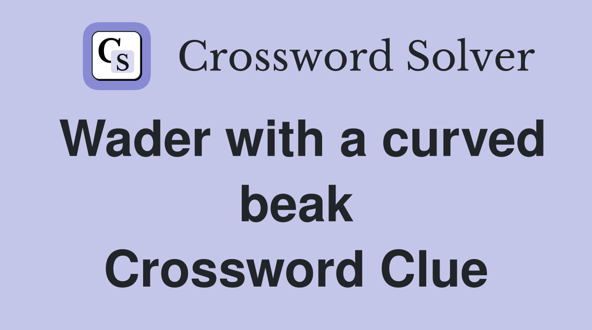 Wader with a curved beak Crossword Clue