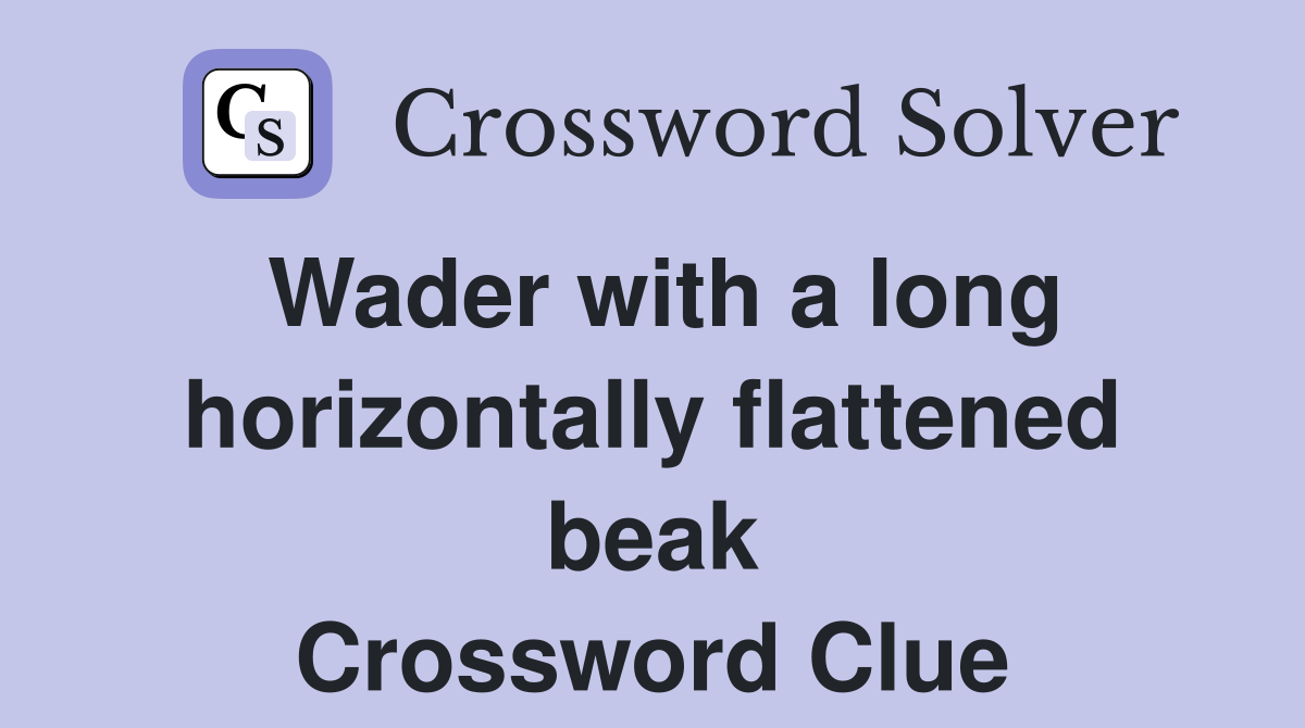 Wader with a long horizontally flattened beak Crossword Clue