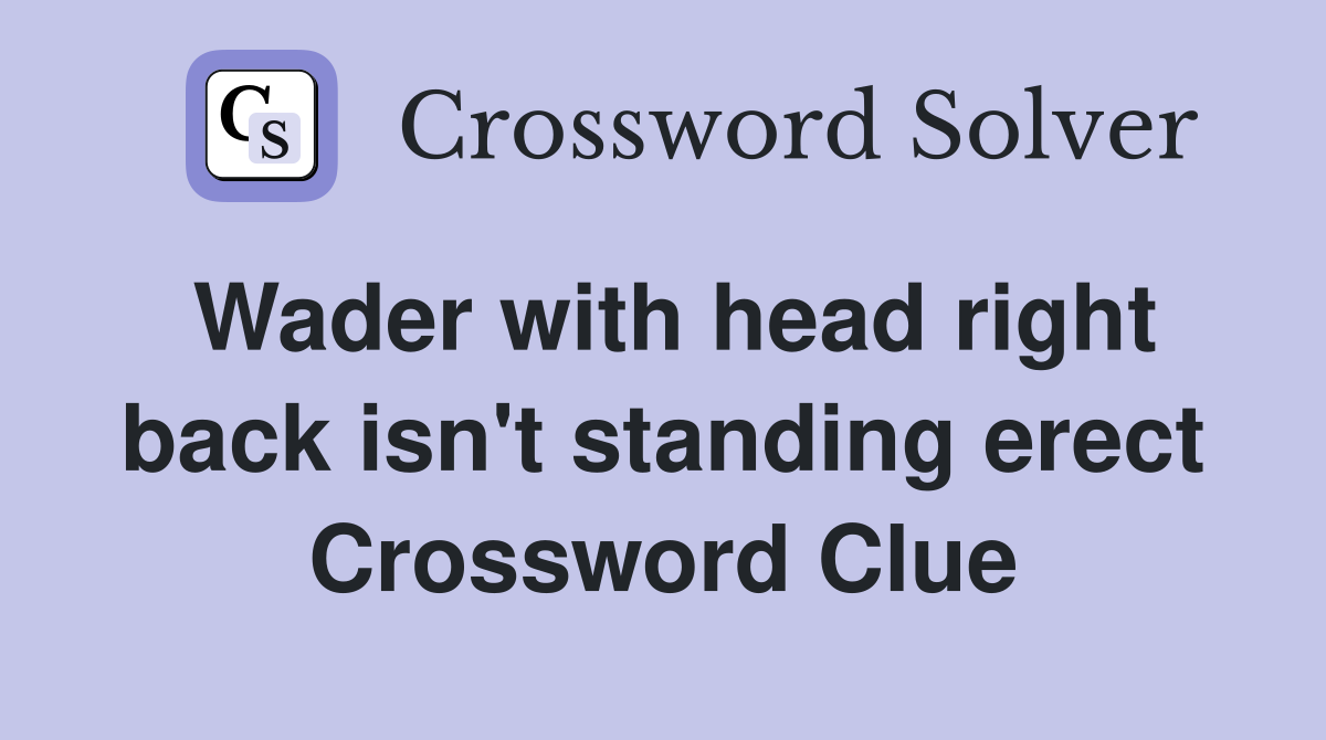 Wader with head right back isn't standing erect Crossword Clue