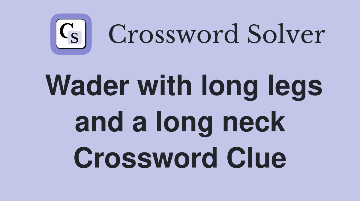 Wader with long legs and a long neck Crossword Clue