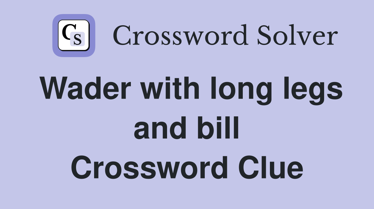 Wader with long legs and bill Crossword Clue