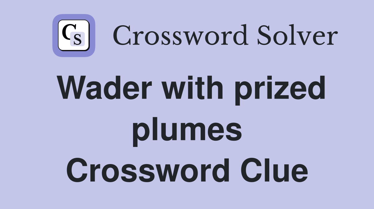 Wader with prized plumes Crossword Clue