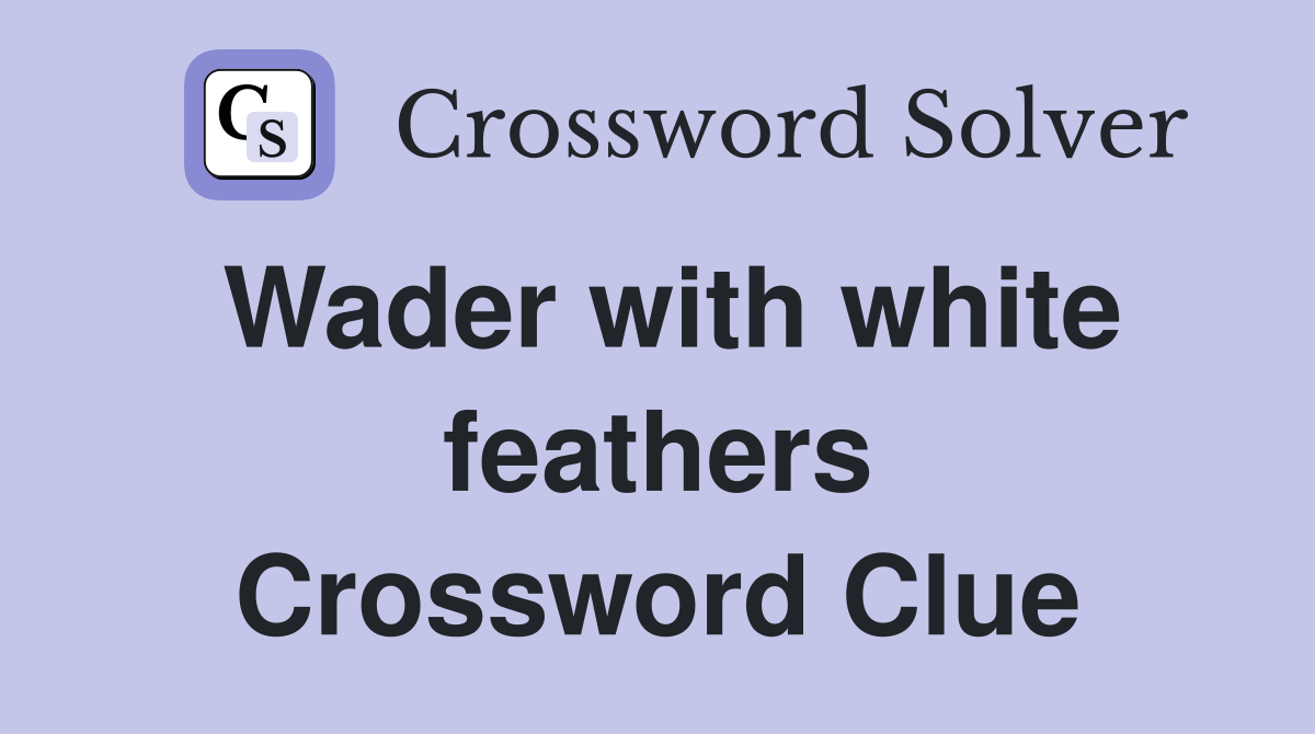 Wader with white feathers Crossword Clue