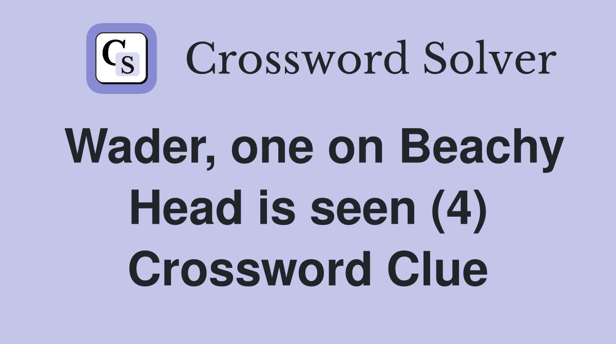 Wader, one on Beachy Head is seen (4) Crossword Clue