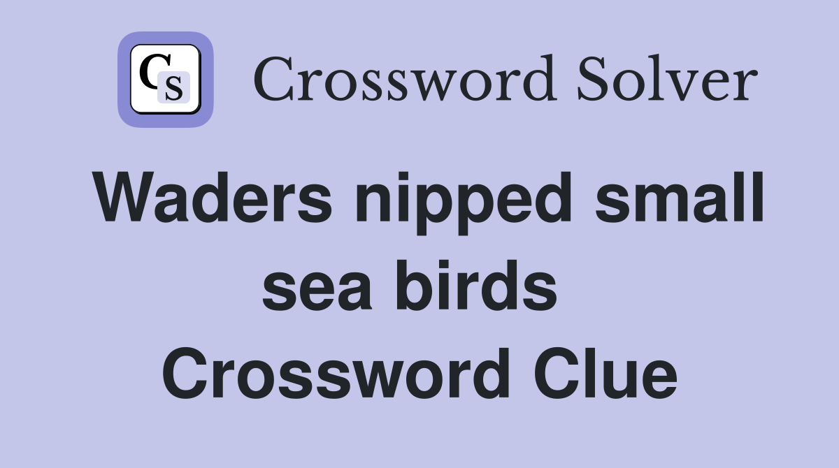 Waders nipped small sea birds  Crossword Clue