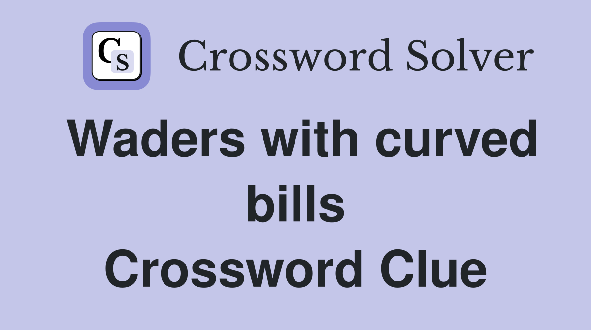 Waders with curved bills Crossword Clue