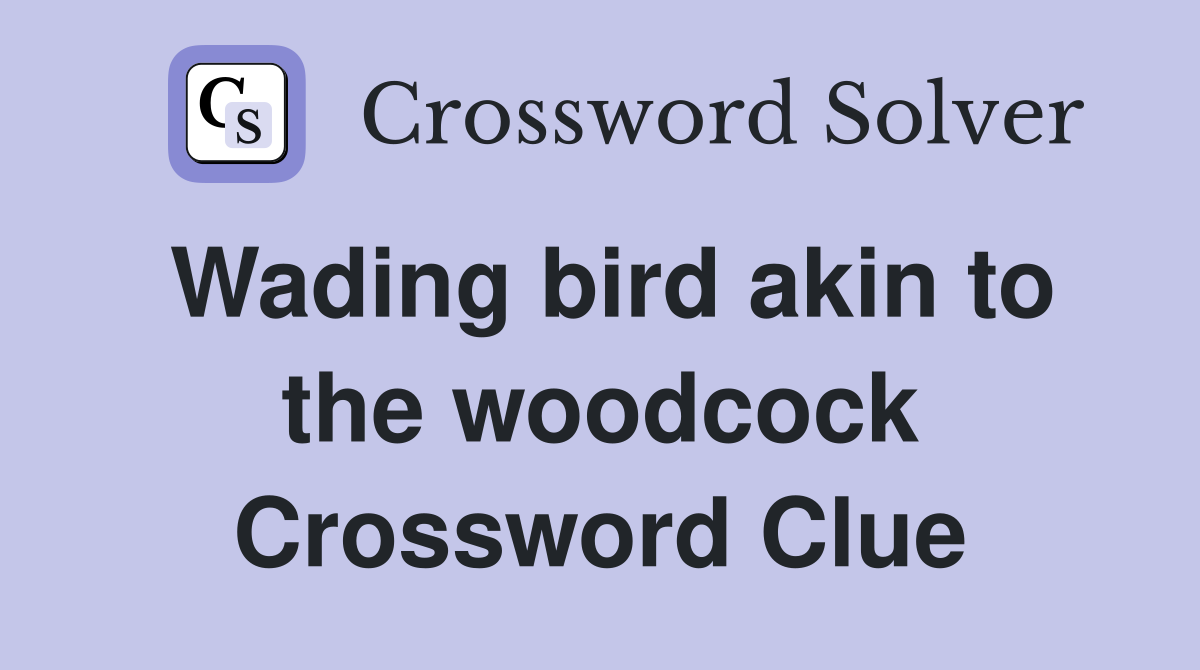 Wading bird akin to the woodcock Crossword Clue