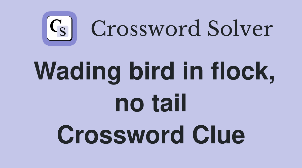 Wading bird in flock, no tail Crossword Clue