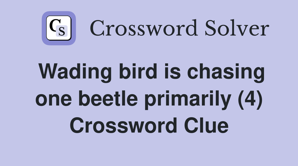 Wading bird is chasing one beetle primarily (4) Crossword Clue