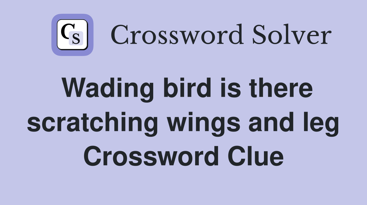 Wading bird is there scratching wings and leg Crossword Clue