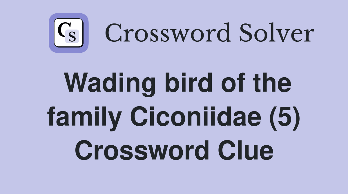 Wading bird of the family Ciconiidae (5) Crossword Clue