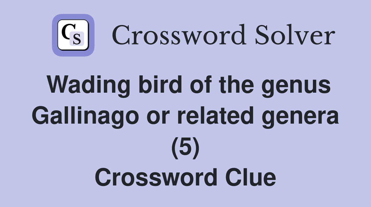 Wading bird of the genus Gallinago or related genera (5) Crossword Clue