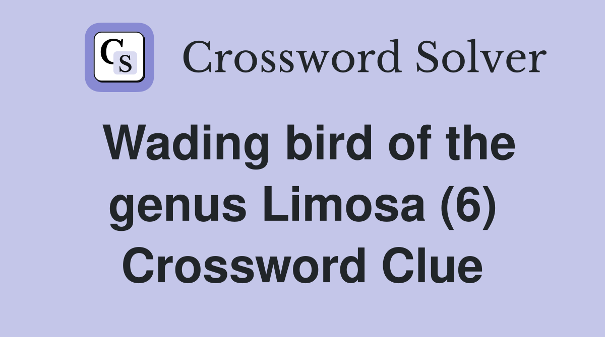 Wading bird of the genus Limosa (6) Crossword Clue