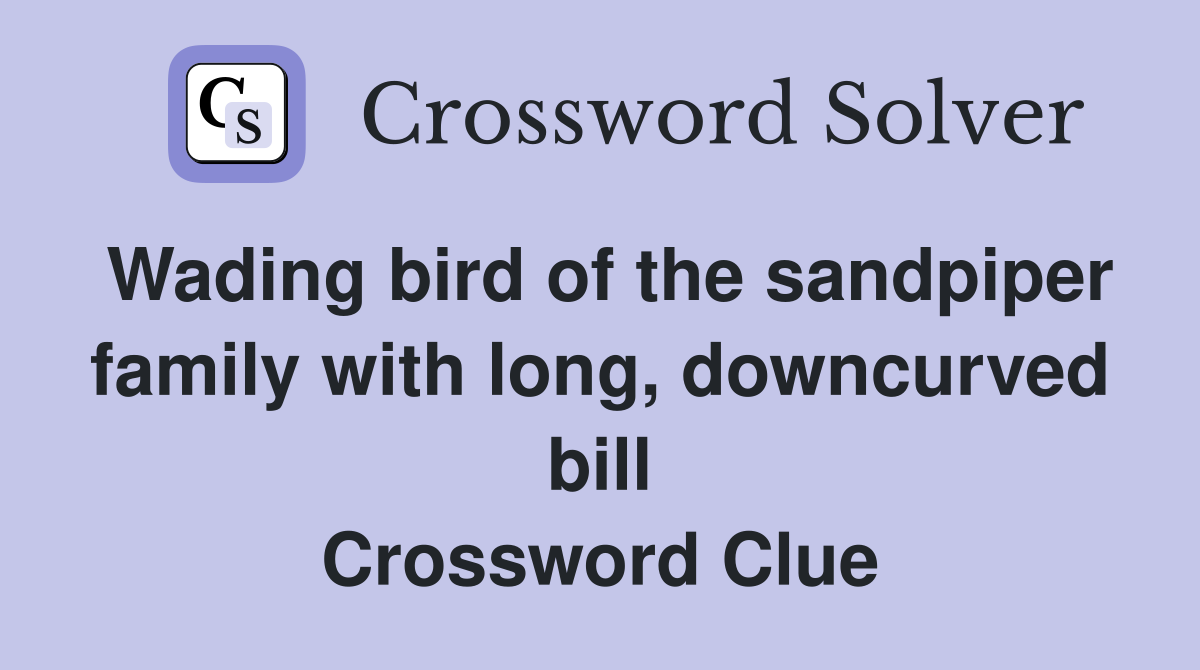 Wading bird of the sandpiper family with long, downcurved bill Crossword Clue