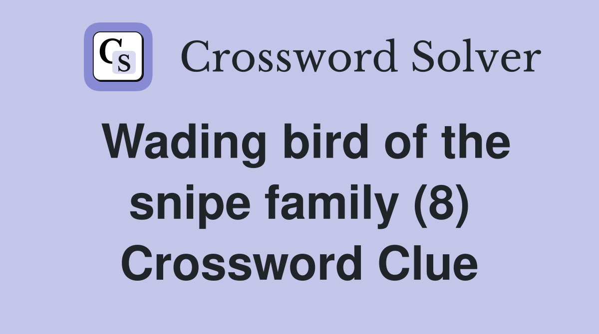 Wading bird of the snipe family (8) Crossword Clue